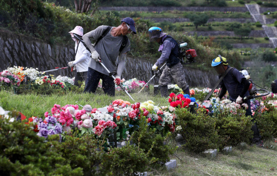 코로나 재확신 분수령이 될 추석 연휴를 앞두고 광주 북구 영락공원묘지에서 효령동 주민들이 벌초하고 있다.              광주=연합뉴스